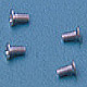 Flat Head Screw ( 4 x 6 )